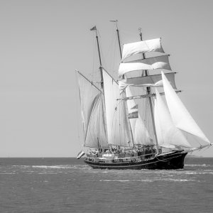 Baptiste-The Tall Ship Race - les vieux grééments-03 août 2018-0125